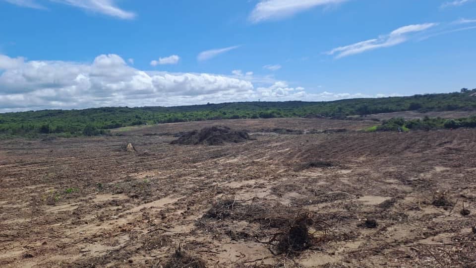 Cleared and ready