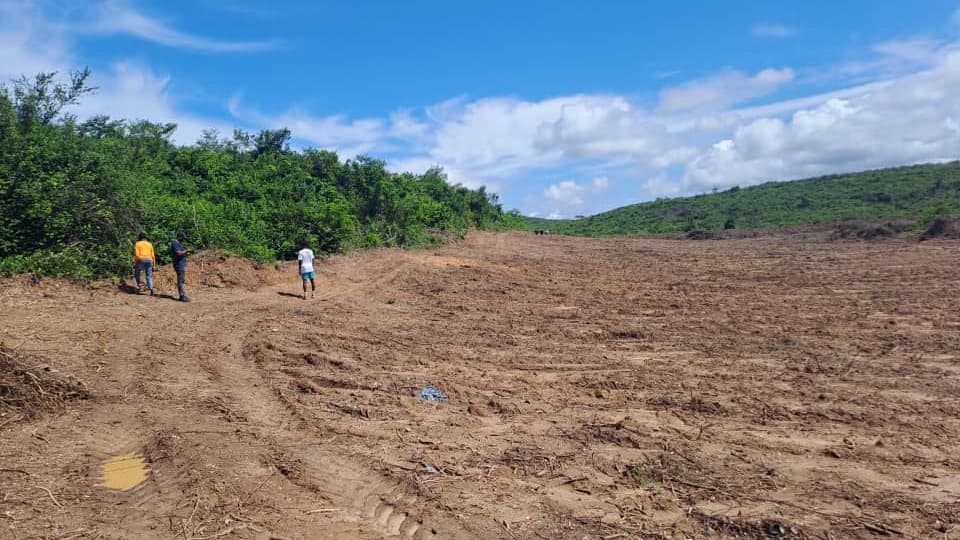 Preparing the land