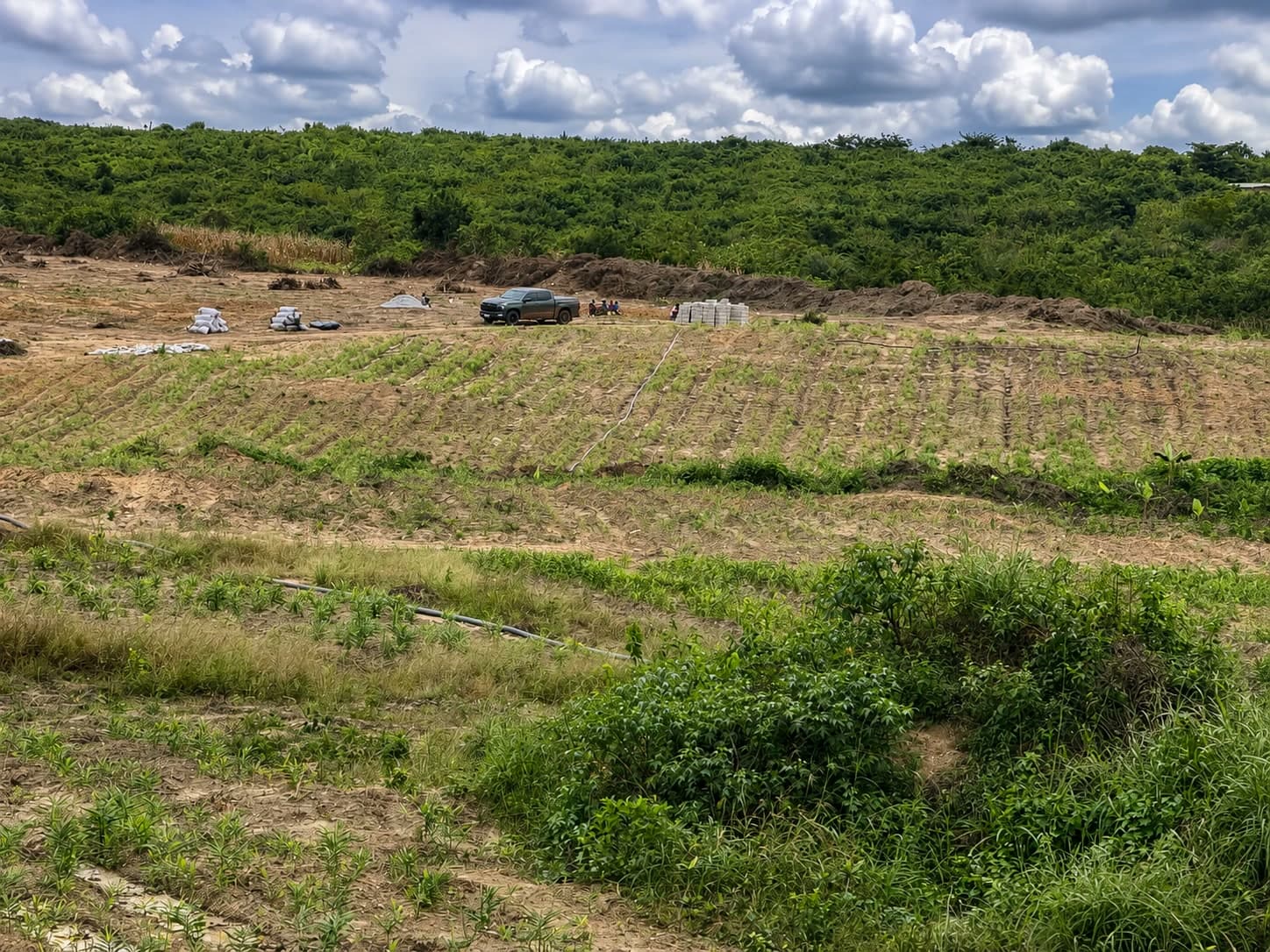 Across the working ground