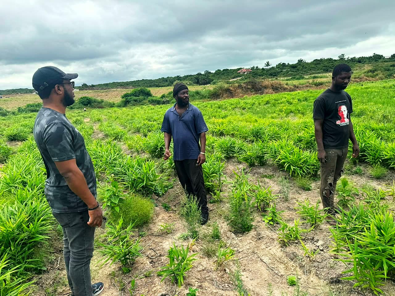 Walking the rows
