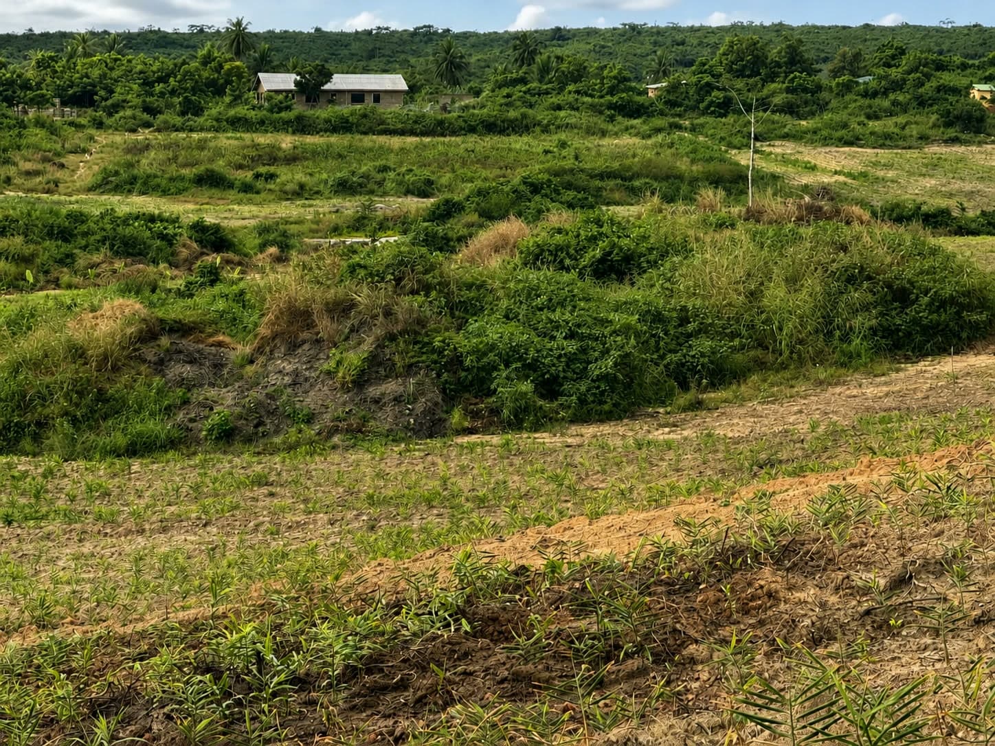 The land beyond